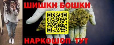 сатива Лесосибирск